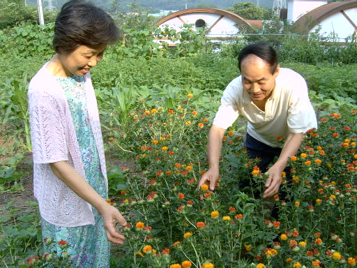 생명밥상을 풍성하게 해주는 생명 텃밭 